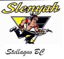 Slenyah Convenience
